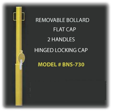 BNS.730